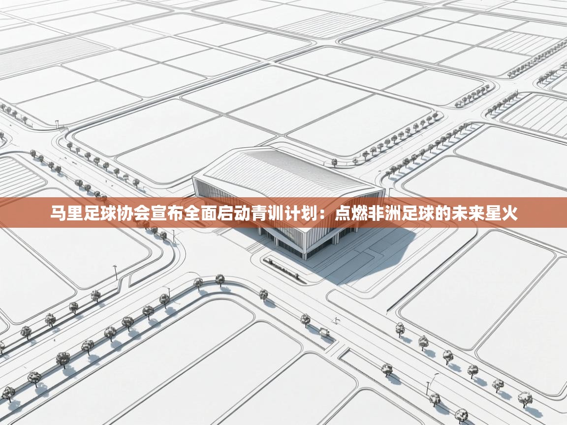 马里足球协会宣布全面启动青训计划:点燃非洲足球的未来星火 第1张