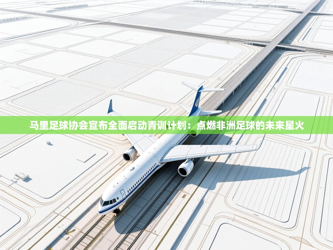 马里足球协会宣布全面启动青训计划:点燃非洲足球的未来星火 第2张